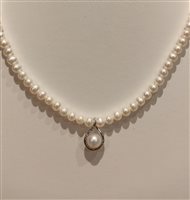 Collana Miluna Donna in Perle PCL5876